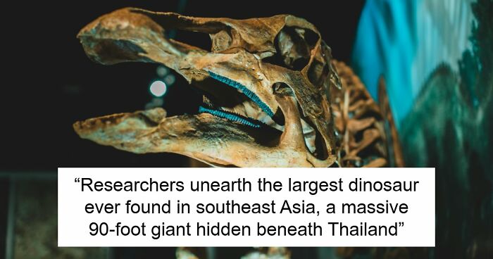 Giant Dinosaur Skeleton Found In Thailand, The Nagatitan, May Be The Largest Dinosaur Of The Region