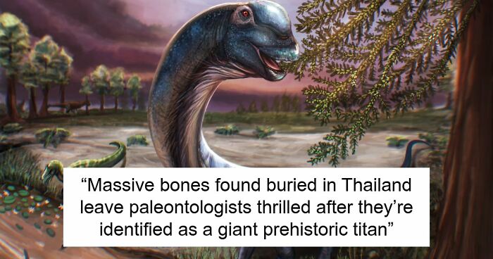 Giant Dinosaur Skeleton Found In Thailand, The Nagatitan, May Be The Largest Dinosaur Of The Region