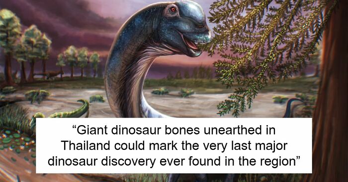 Giant Dinosaur Skeleton Found In Thailand, The Nagatitan, May Be The Largest Dinosaur Of The Region