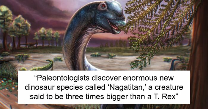 Giant Dinosaur Skeleton Found In Thailand, The Nagatitan, May Be The Largest Dinosaur Of The Region