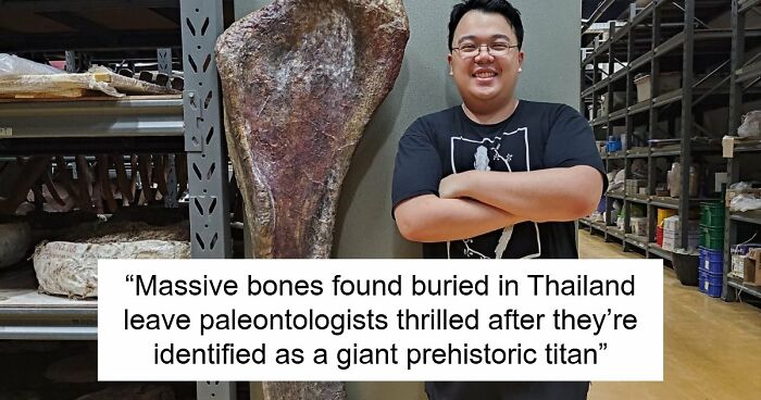 Giant Dinosaur Skeleton Found In Thailand, The Nagatitan, May Be The Largest Dinosaur Of The Region