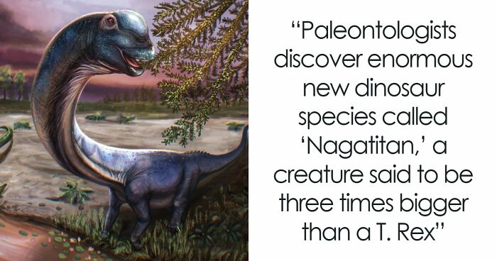 Giant Dinosaur Skeleton Found In Thailand, The Nagatitan, May Be The Largest Dinosaur Of The Region