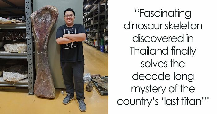 Giant Dinosaur Skeleton Found In Thailand, The Nagatitan, May Be The Largest Dinosaur Of The Region