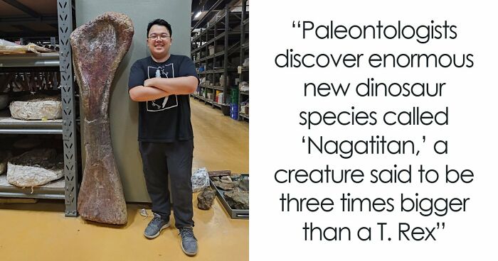 Giant Dinosaur Skeleton Found In Thailand, The Nagatitan, May Be The Largest Dinosaur Of The Region