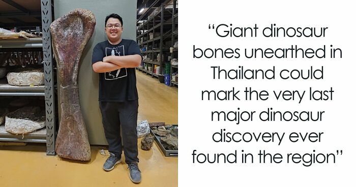 Giant Dinosaur Skeleton Found In Thailand, The Nagatitan, May Be The Largest Dinosaur Of The Region
