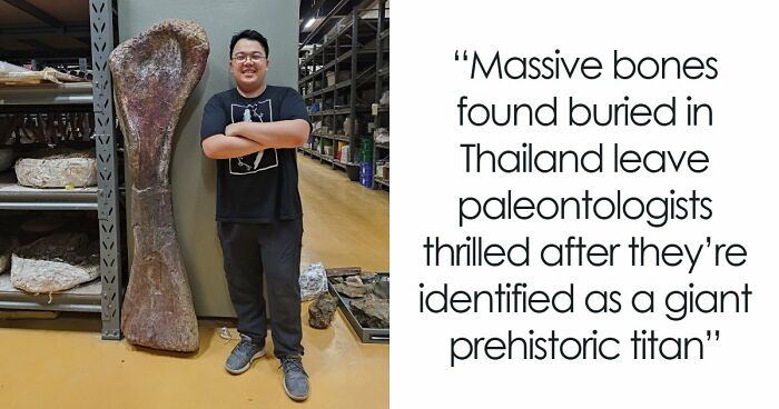 Giant Dinosaur Skeleton Found In Thailand, The Nagatitan, May Be The Largest Dinosaur Of The Region