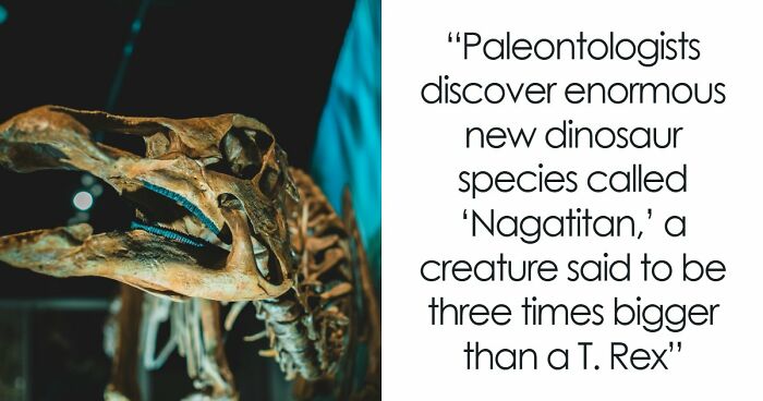 Giant Dinosaur Skeleton Found In Thailand, The Nagatitan, May Be The Largest Dinosaur Of The Region