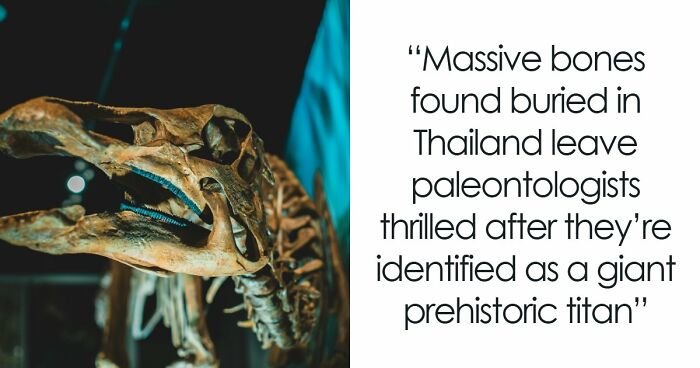 Giant Dinosaur Skeleton Found In Thailand, The Nagatitan, May Be The Largest Dinosaur Of The Region