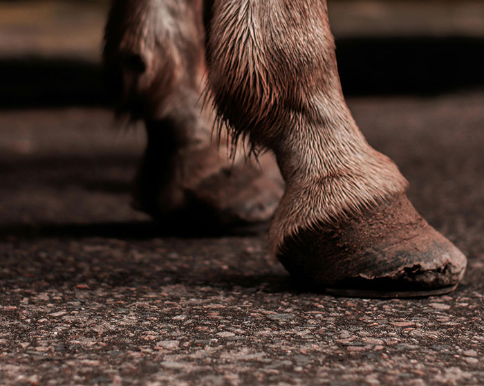 60 Things And Actions So Out-Of-Touch Only The Ultra-Rich Could Do Them
