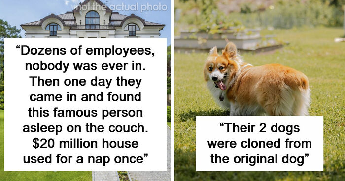 60 Things And Actions So Out-Of-Touch Only The Ultra-Rich Could Do Them