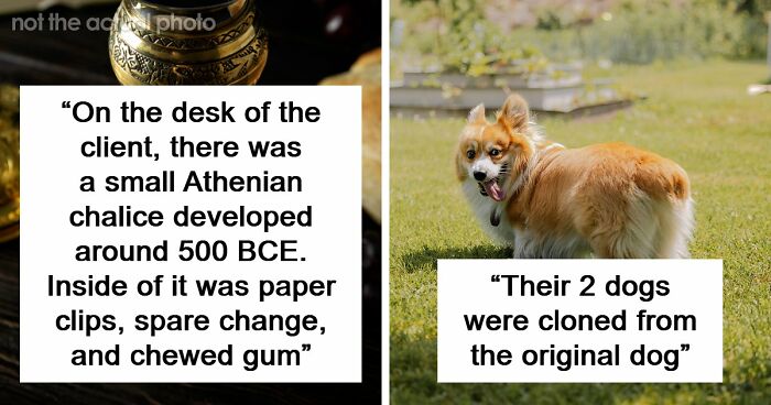 60 Things And Actions So Out-Of-Touch Only The Ultra-Rich Could Do Them