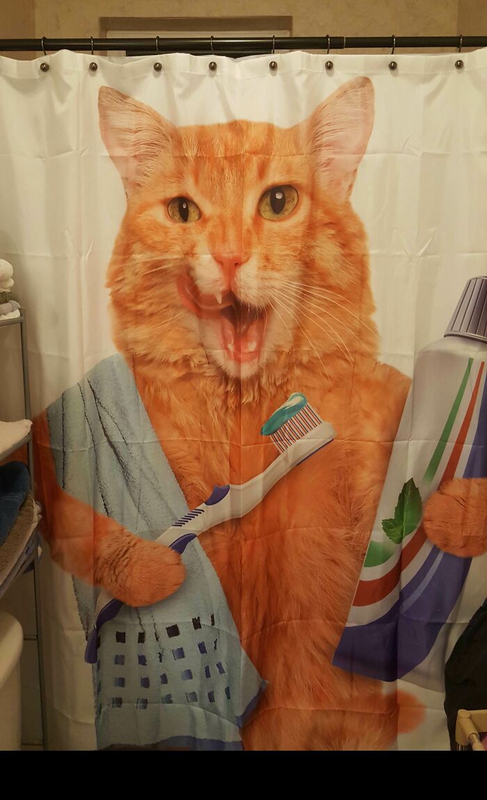 The Wife Doesn't Approve Of The Shower Curtain I Picked Out