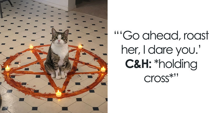 48 Weird Pets That Got Absolutely Roasted Online And Deserved Every Word