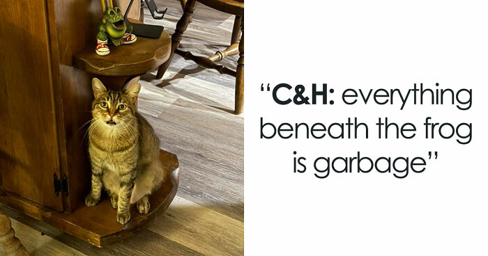 48 Weird Pets That Got Absolutely Roasted Online And Deserved Every Word