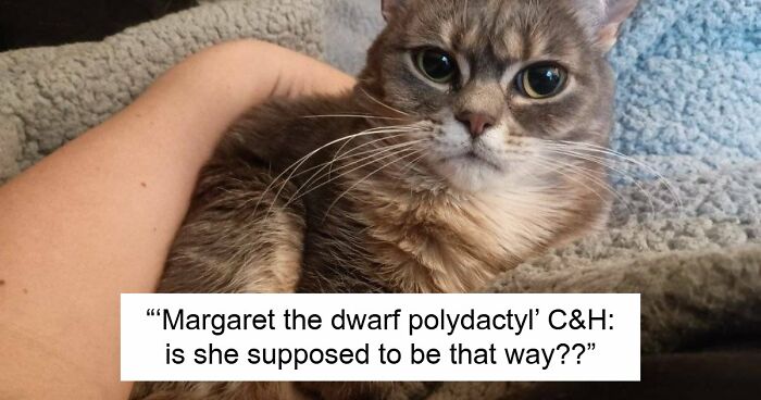 48 Weird Pets That Got Absolutely Roasted Online And Deserved Every Word