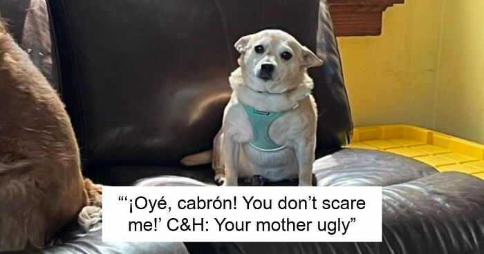 48 Weird Pets That Got Absolutely Roasted Online And Deserved Every Word