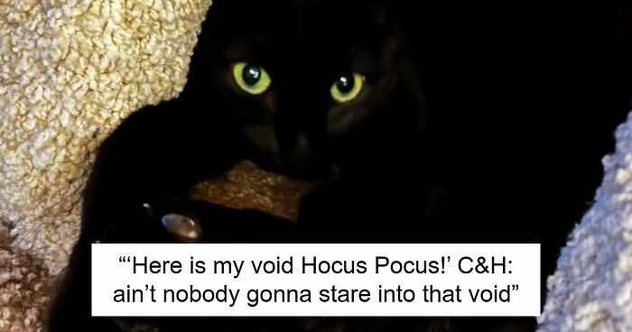 48 Weird Pets That Got Absolutely Roasted Online And Deserved Every Word