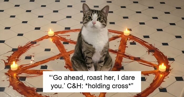 48 Weird Pets That Got Absolutely Roasted Online And Deserved Every Word