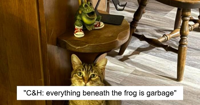 48 Weird Pets That Got Absolutely Roasted Online And Deserved Every Word