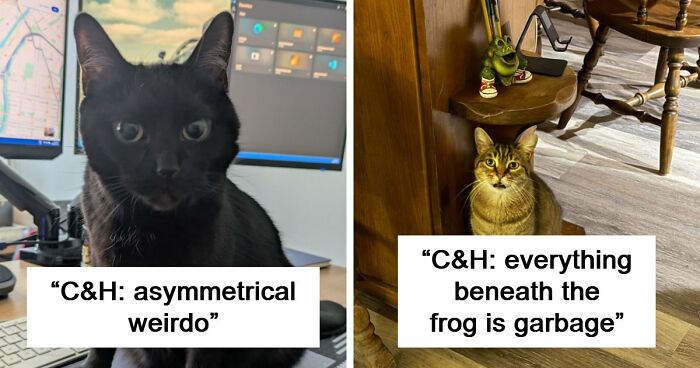 48 Weird Pets That Got Absolutely Roasted Online And Deserved Every Word