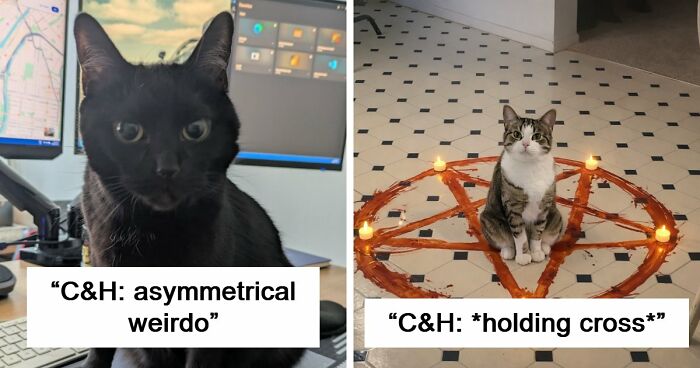 48 Weird Pets That Got Absolutely Roasted Online And Deserved Every Word