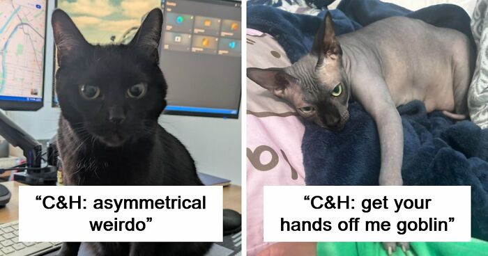 48 Weird Pets That Got Absolutely Roasted Online And Deserved Every Word