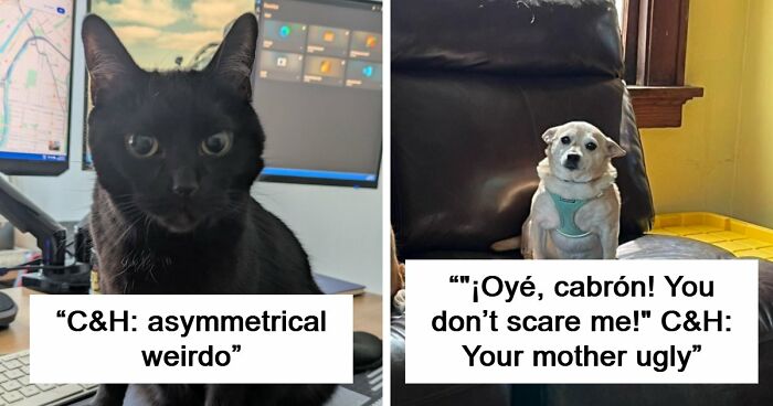 48 Weird Pets That Got Absolutely Roasted Online And Deserved Every Word
