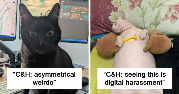 48 Weird Pets That Got Absolutely Roasted Online And Deserved Every Word