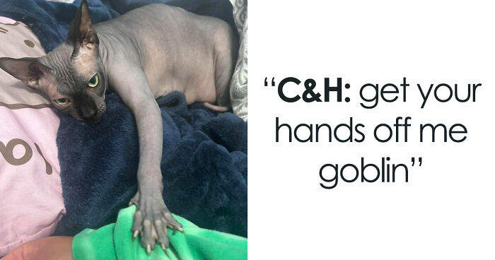 48 Weird Pets That Got Absolutely Roasted Online And Deserved Every Word