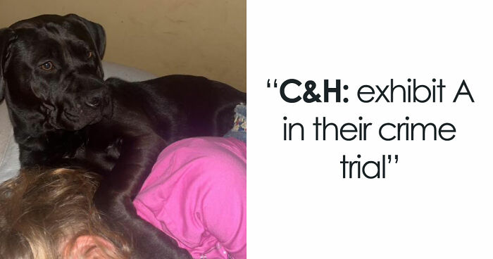 48 Weird Pets That Got Absolutely Roasted Online And Deserved Every Word