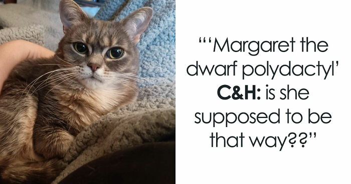 48 Weird Pets That Got Absolutely Roasted Online And Deserved Every Word