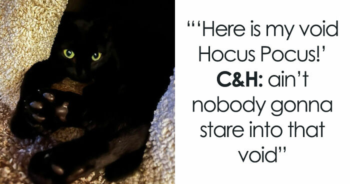 48 Weird Pets That Got Absolutely Roasted Online And Deserved Every Word