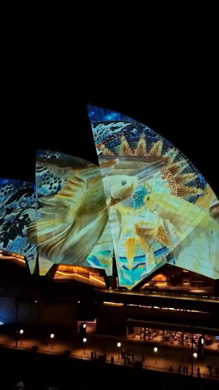 Fish images projected on Sydney Opera House sails during light show Fish images projected on Sydney Opera House sails during light show