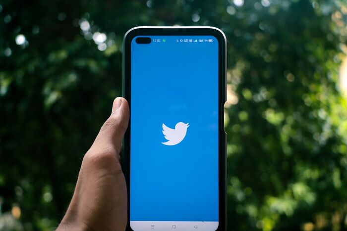 Hand holding a smartphone displaying the Twitter logo on a blue screen, perfect for discussing epic comebacks.