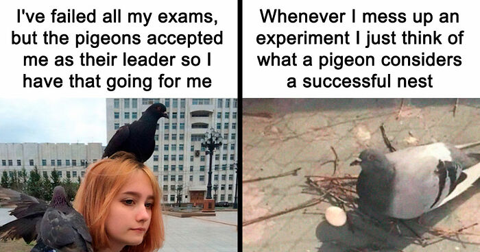 If Nothing Brings You Joy Anymore, Try These 75 Funny And Wholesome Animal Memes