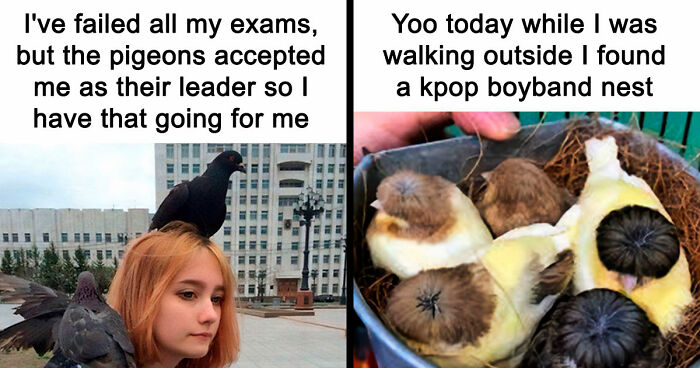 If Nothing Brings You Joy Anymore, Try These 75 Funny And Wholesome Animal Memes