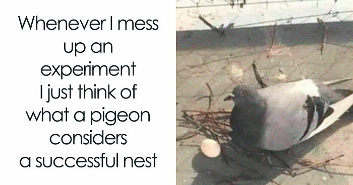 If Nothing Brings You Joy Anymore, Try These 75 Funny And Wholesome Animal Memes