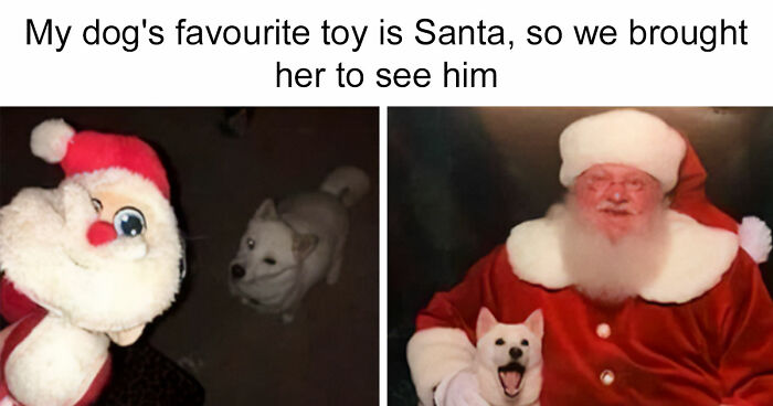 If Nothing Brings You Joy Anymore, Try These 75 Funny And Wholesome Animal Memes