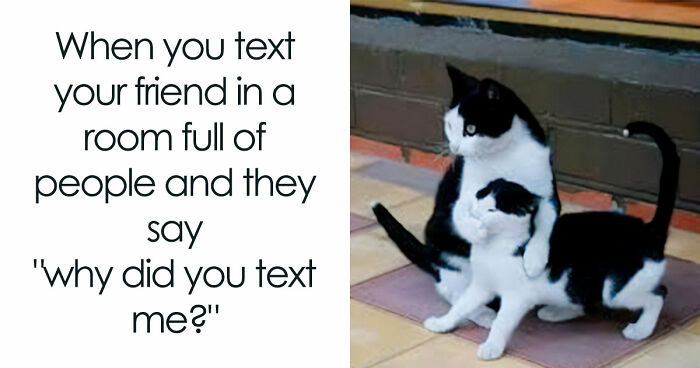 If Nothing Brings You Joy Anymore, Try These 75 Funny And Wholesome Animal Memes