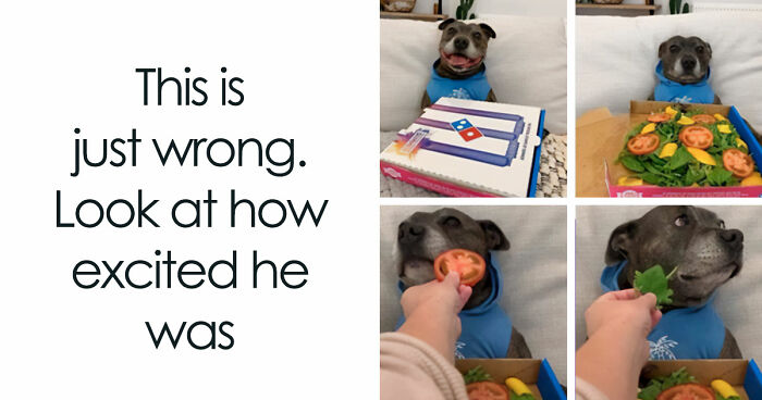 If Nothing Brings You Joy Anymore, Try These 75 Funny And Wholesome Animal Memes