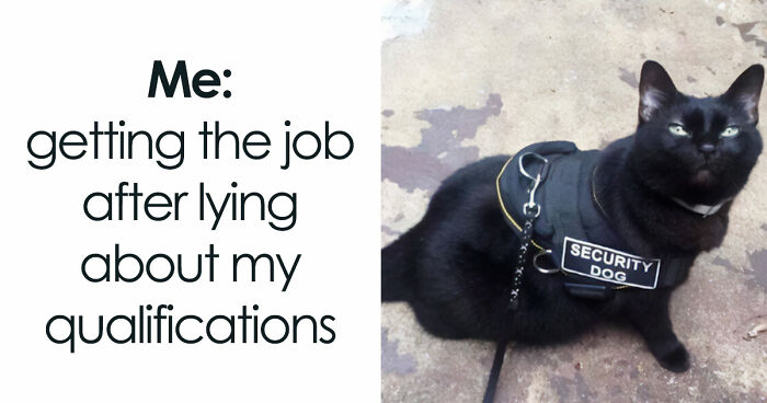 If Nothing Brings You Joy Anymore, Try These 75 Funny And Wholesome Animal Memes