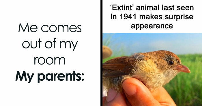 If Nothing Brings You Joy Anymore, Try These 75 Funny And Wholesome Animal Memes