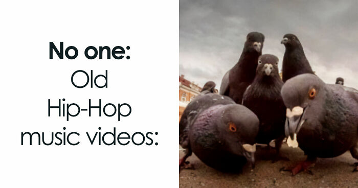 If Nothing Brings You Joy Anymore, Try These 75 Funny And Wholesome Animal Memes