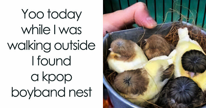 If Nothing Brings You Joy Anymore, Try These 75 Funny And Wholesome Animal Memes