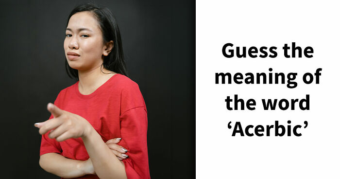 “Would A College Still Accept You Today?”: Define 24 SAT-Level Vocabulary Words To Find Out
