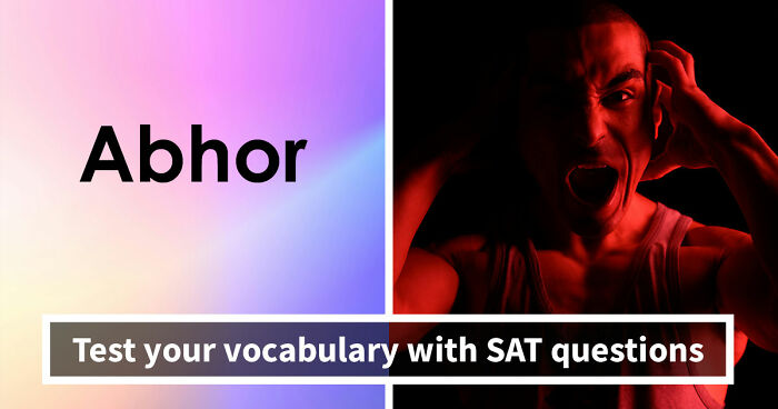 “Would A College Still Accept You Today?”: Define 24 SAT-Level Vocabulary Words To Find Out