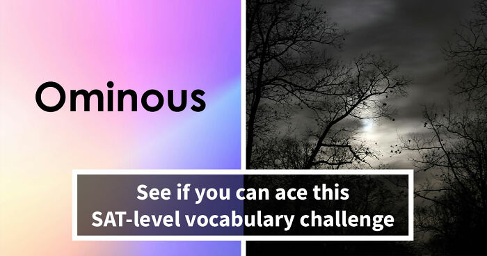 “Would A College Still Accept You Today?”: Define 24 SAT-Level Vocabulary Words To Find Out