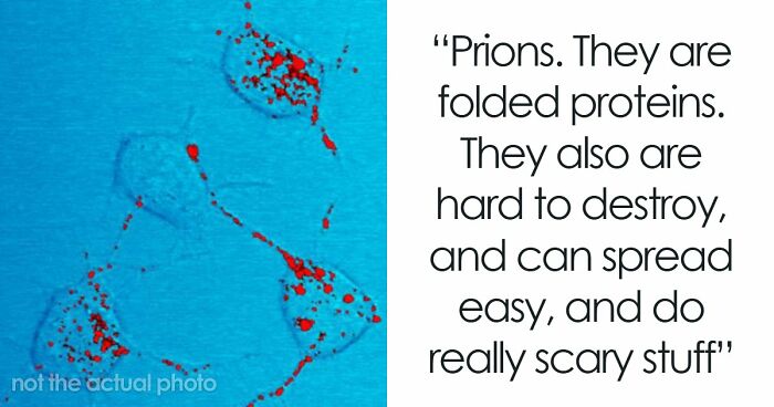 50 Anxiety-Inducing Truths About The World That Are The Reason We All Need Therapy