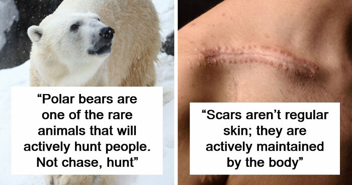 “Will Actively Hunt People”: 65 Scary Science Facts That Might Change How You See The World