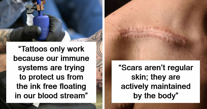 “Will Actively Hunt People”: 65 Scary Science Facts That Might Change How You See The World